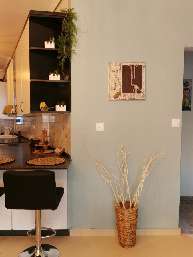 Theia Analipsi Central Apartment Kateríni Buitenkant foto